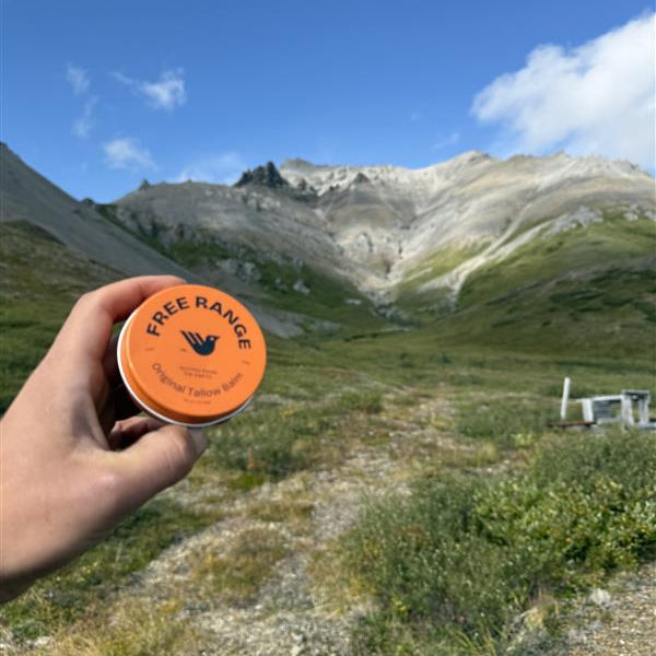 free range grass fed and finished tallow balm tin with an alaskan mountain backdrop and blue skies 