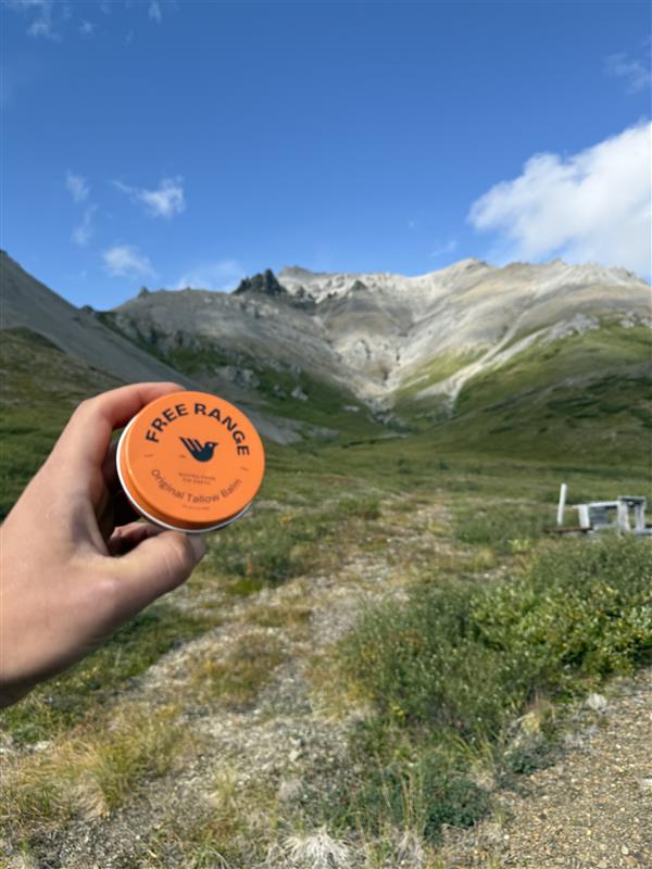 free range grass fed and finished tallow balm tin with an alaskan mountain backdrop and blue skies 